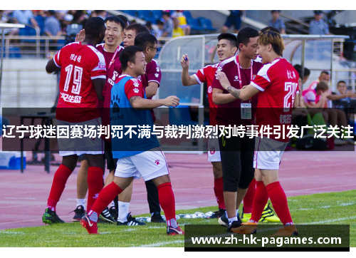 辽宁球迷因赛场判罚不满与裁判激烈对峙事件引发广泛关注 辽宁球迷因赛场判罚不满与裁判激烈对峙事件引发广泛关注