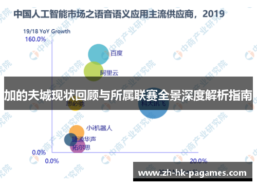 加的夫城现状回顾与所属联赛全景深度解析指南 加的夫城现状回顾与所属联赛全景深度解析指南