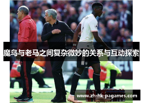 魔鸟与老马之间复杂微妙的关系与互动探索 魔鸟与老马之间复杂微妙的关系与互动探索