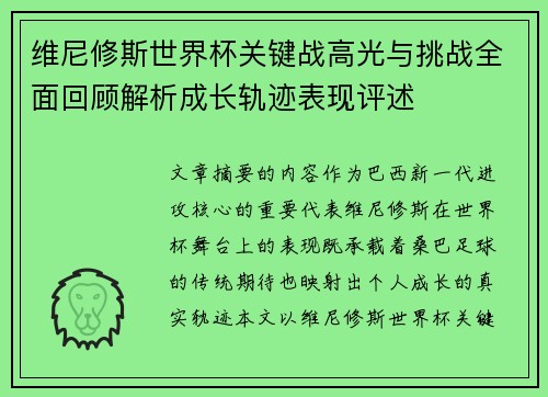 维尼修斯世界杯关键战高光与挑战全面回顾解析成长轨迹表现评述